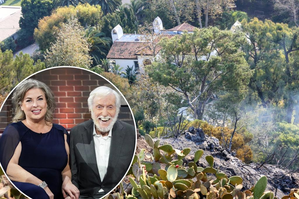 Dick Van Dyke didn’t evacuate home amid LA fires, using gas generator