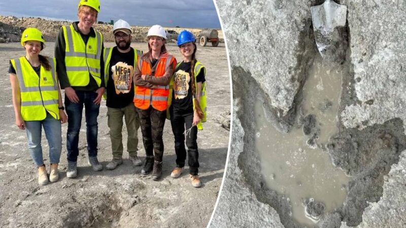 ‘Dinosaur highway’ uncovered near London by quarry worker