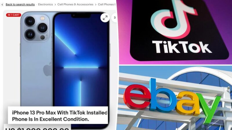 iPhones with TikTok installed going for thousands on eBay