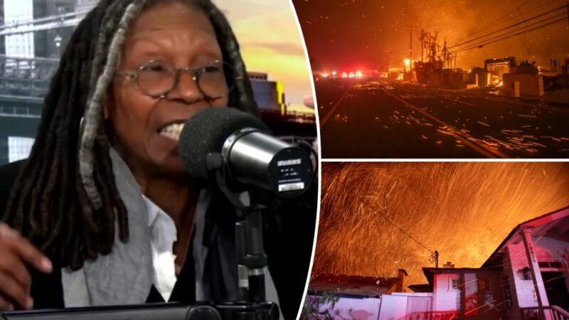 Whoopi Goldberg blames ‘the winds’ for LA fires: ‘It’s nobody’s fault’