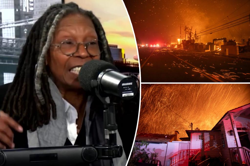 Whoopi Goldberg blames ‘the winds’ for LA fires: ‘It’s nobody’s fault’