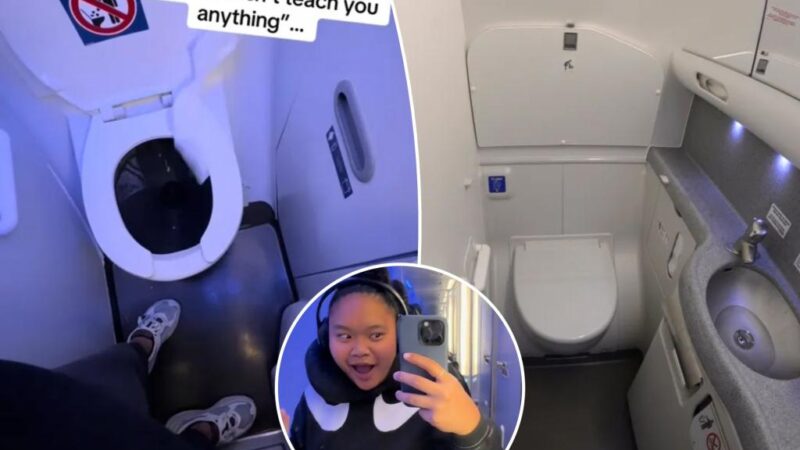 Viral video shows how powerful airplane toilets truly are