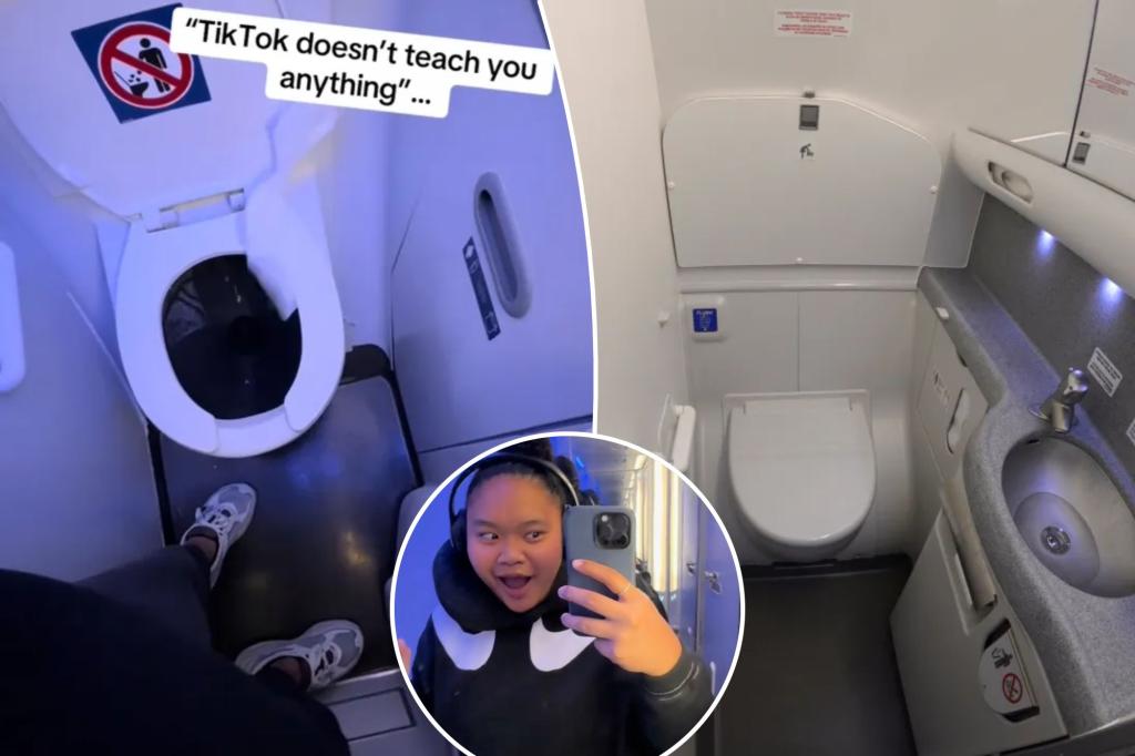 Viral video shows how powerful airplane toilets truly are