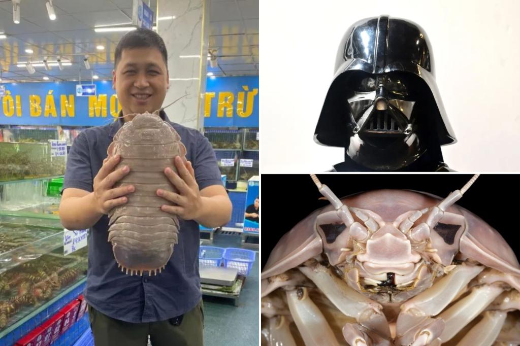 Massive new bug species is so horrifying, it’s been named after Darth Vader