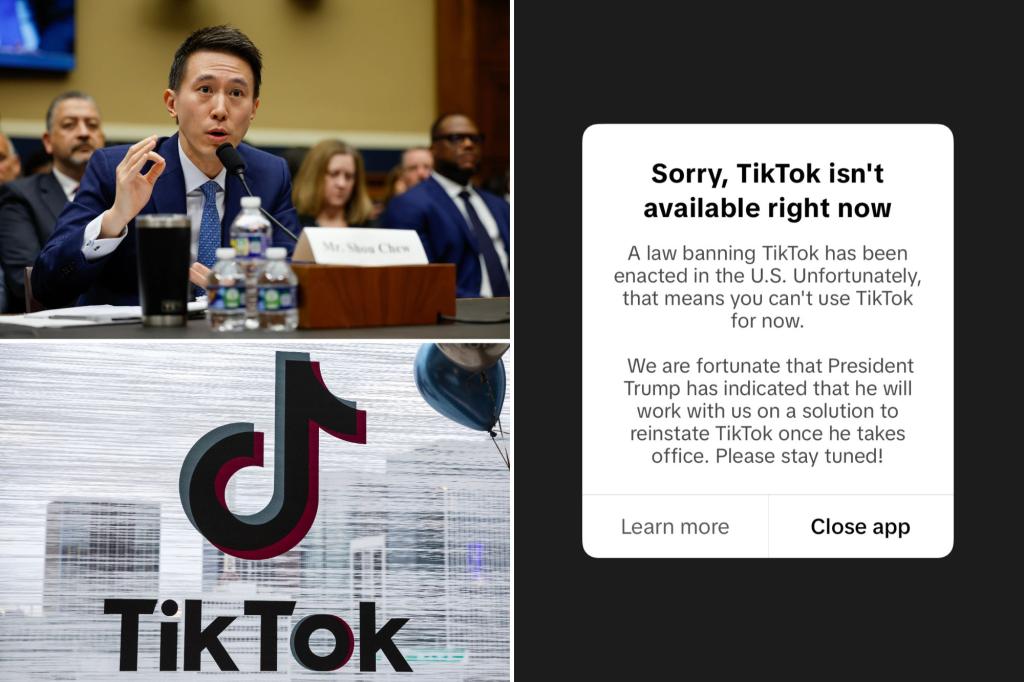 TikTok users freak out as ban shuts down app for 170M users in US