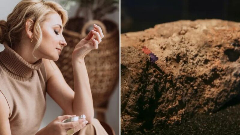 Scientists ‘transform’ fetid fatbergs into ‘sweet-smelling’ perfume