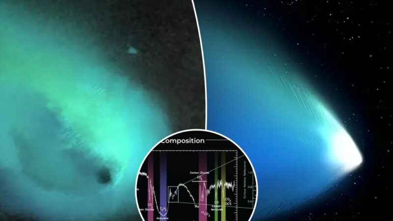 Asteroid-comet hybrid stuns scientists: ‘Like nothing we’ve seen before’