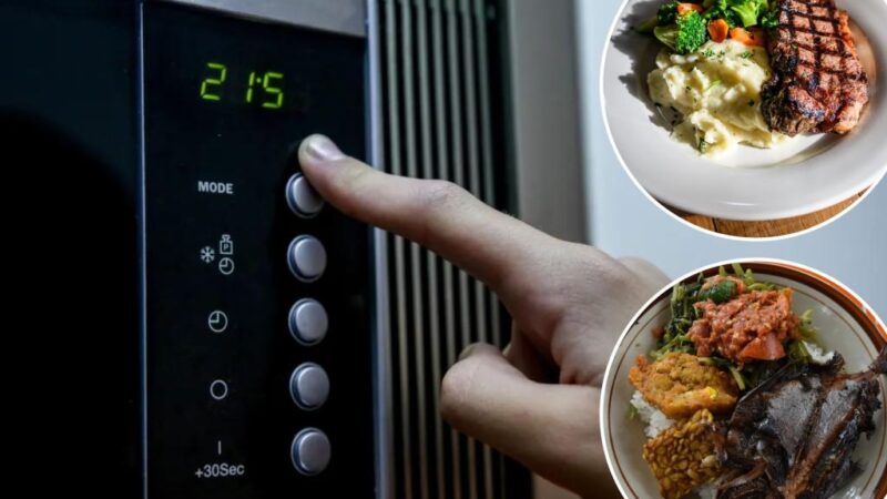 Five foods to not reheat in microwaves, expert Amanda Holtzer