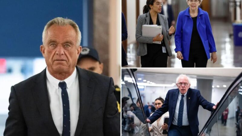 RFK Jr. to meet with slew of Dems including Elizabeth Warren, Bernie Sanders