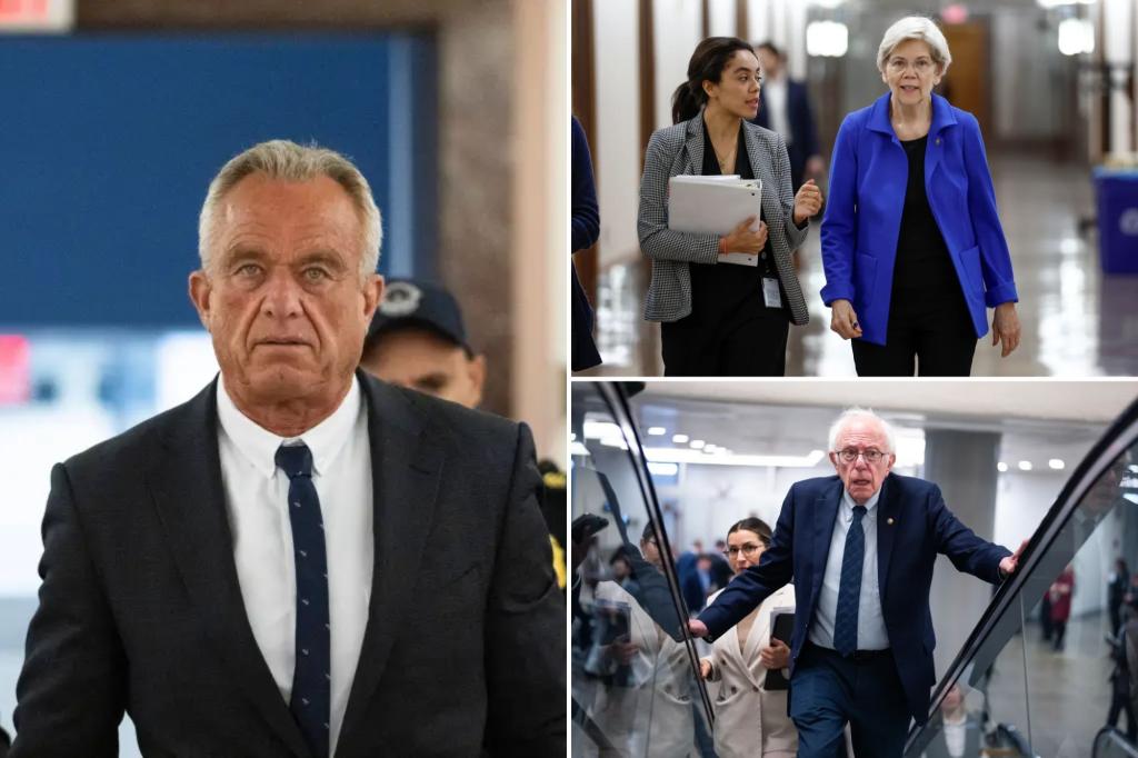 RFK Jr. to meet with slew of Dems including Elizabeth Warren, Bernie Sanders