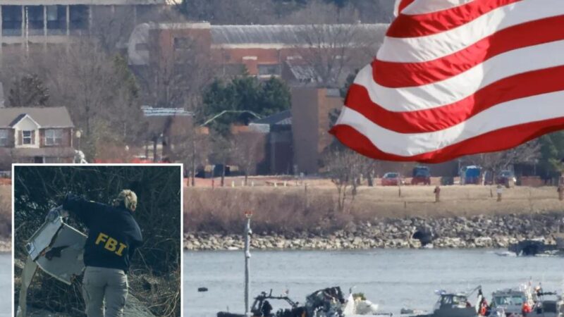 Another flight aborted landing due to military helicopter traffic at Reagan National Airport just 24 hours before deadly DC collision: report