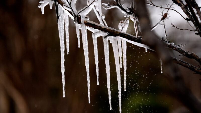 2 Novels for Cold Weather