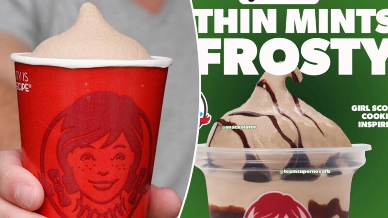 Wendy’s, Girl Scouts’ Thin Mint Frosty rumor picks up steam