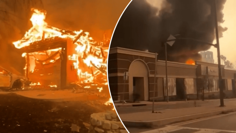 Devastating footage shows businesses and homes up in flames in Los Angeles (Video)