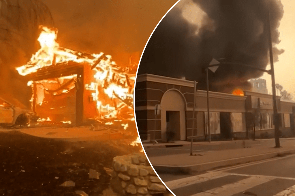 Devastating footage shows businesses and homes up in flames in Los Angeles (Video)