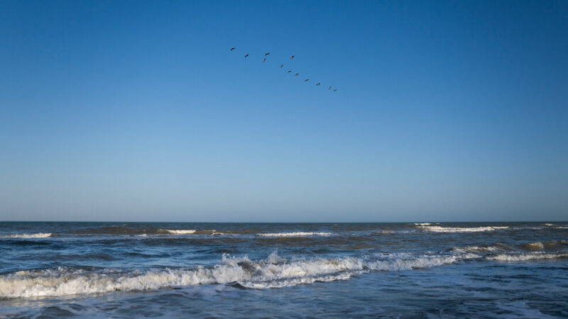 ‘The Gulf of America’? Here’s What Mexicans and Cubans Think.