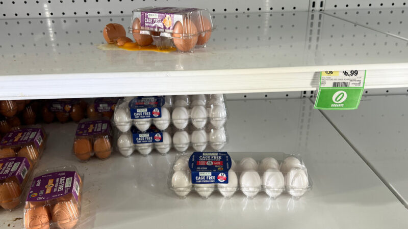 100,000 Eggs Are Stolen in Pennsylvania Amid Shortage