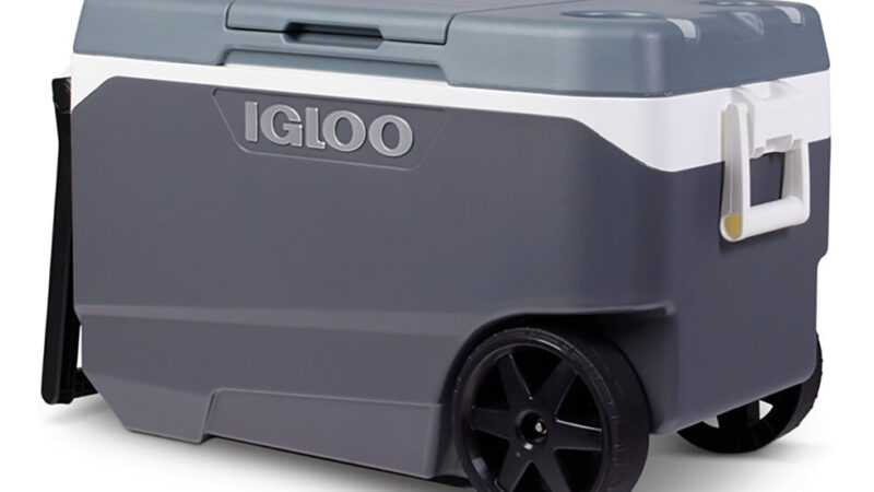 Igloo Recalls Coolers Over Fingertip Amputation and Crushing Risk