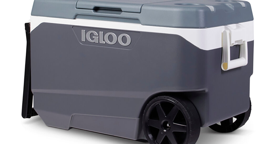 Igloo Recalls Coolers Over Fingertip Amputation and Crushing Risk