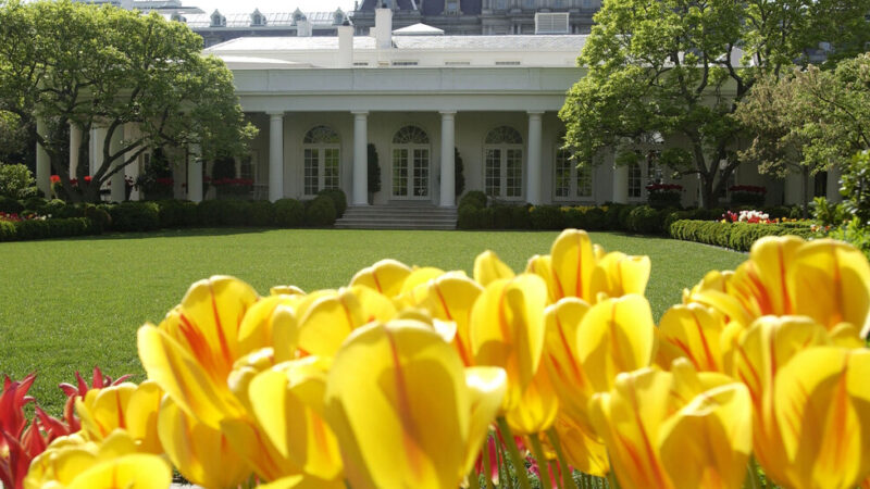 White House Rose Garden: Photos of the Key Historical Moments