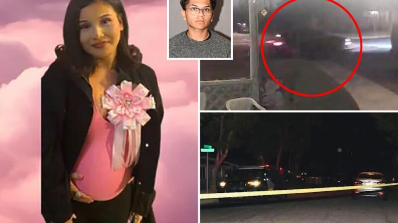 Pregnant teen allegedly run over and killed while trying to confront driver over sex with her underage sister: cops