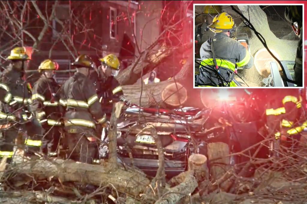 Philly woman dies after tree falls on her car from wind