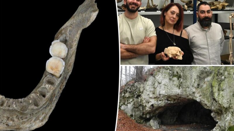 Ancient cannibal tribe celebrated battle victory by eating enemies’ brains