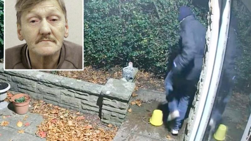 Bungling burglar caught after encountering ‘Home Alone-style’ booby trap