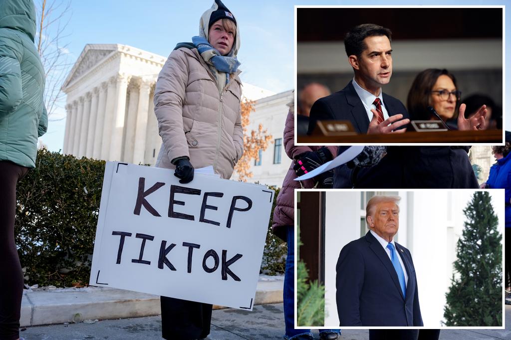 77% of Americans concerned about Chinese ownership of TikTok as Trump admin scrambles to ‘save’ app