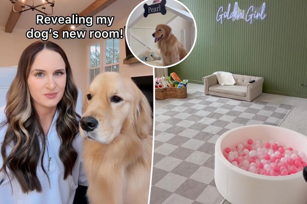 Dog owner spends $1,000 to transform spare bedroom for pet