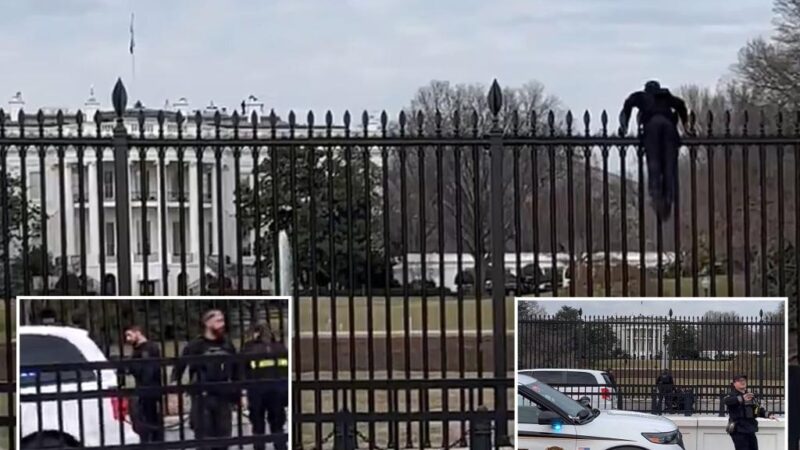 Secret Service swarm man climbing over White House fence