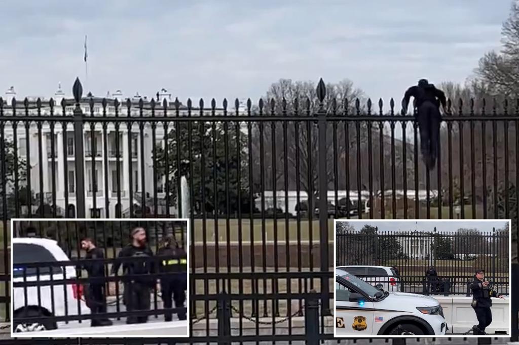 Secret Service swarm man climbing over White House fence