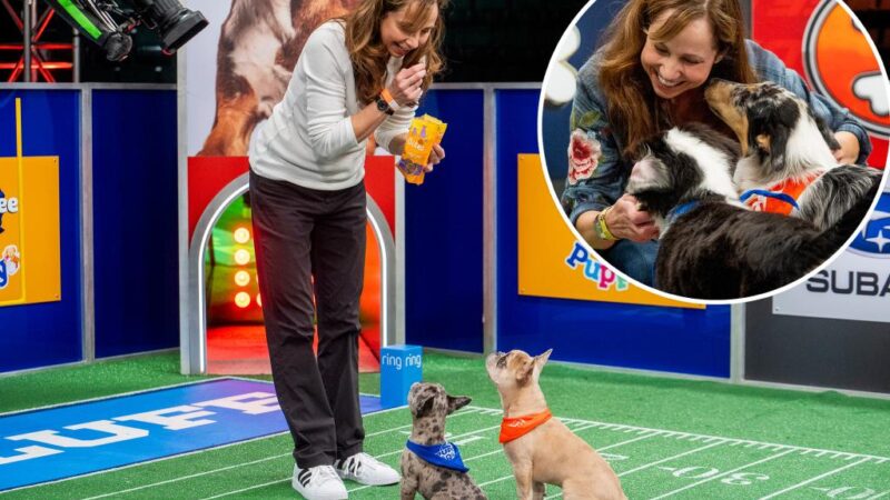 Meet the woman keeping the adorable pups happy at this year’s ‘Puppy Bowl’