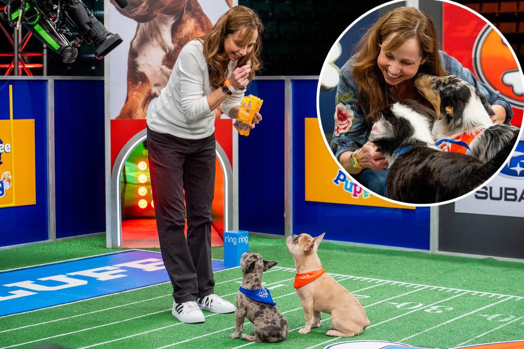 Meet the woman keeping the adorable pups happy at this year’s ‘Puppy Bowl’