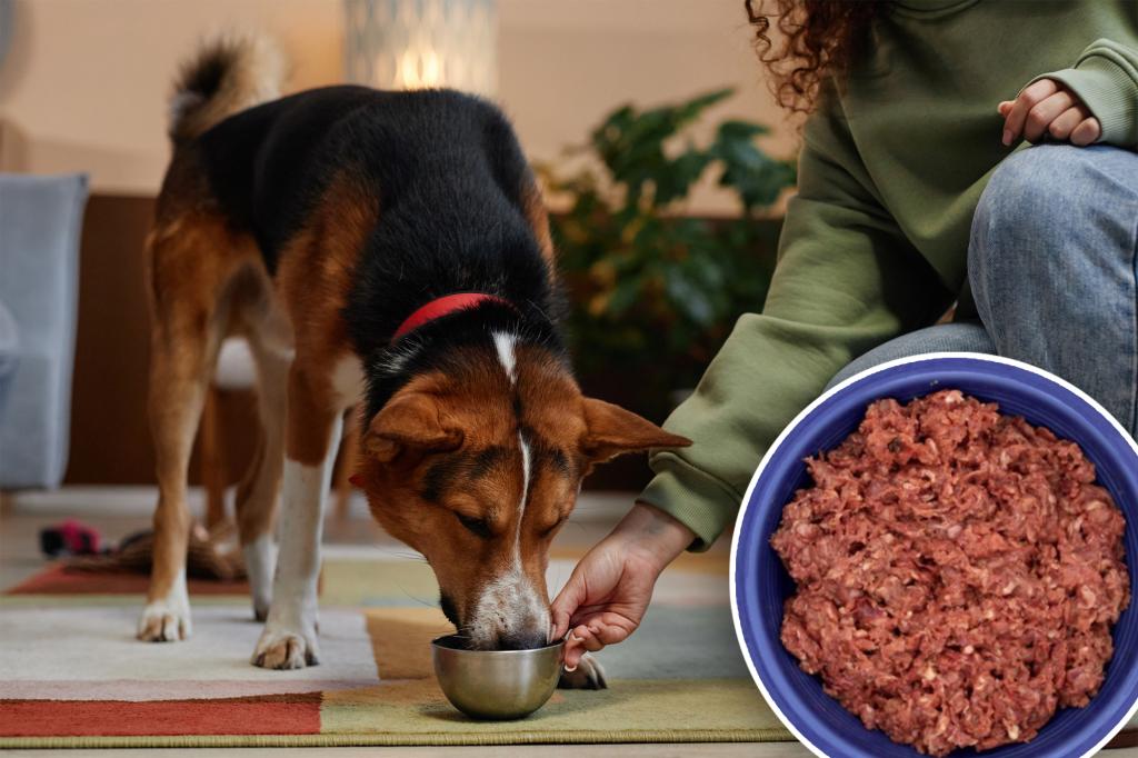 Top dog food brand recalls nearly 6,000 pounds of logs due to salmonella contamination