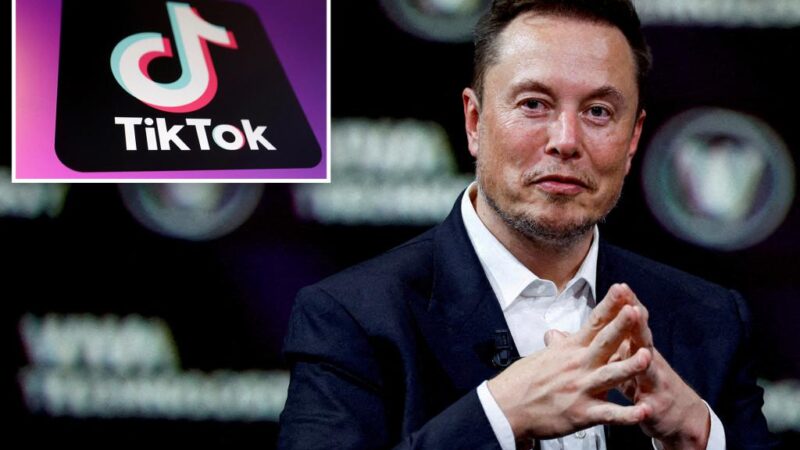 Elon Musk has not bid on TikTok and has no plans to, he says in interview