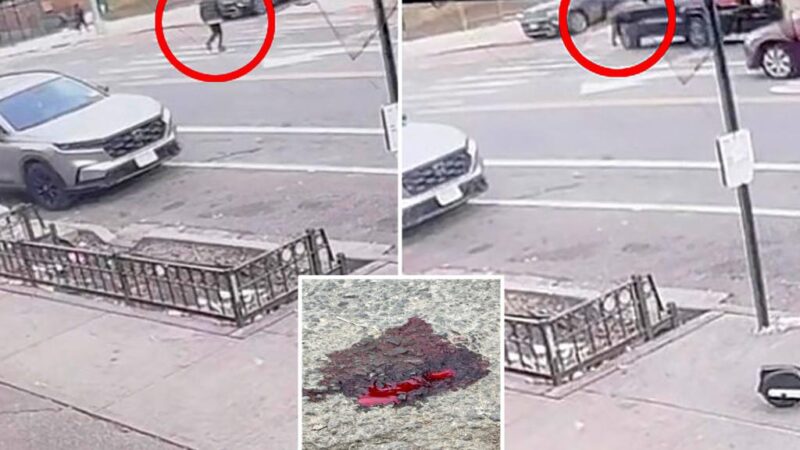 Brutal Bronx hit-and-run caught on video with one in custody: NYPD