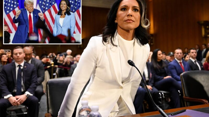 Senate confirms Tulsi Gabbard as director of national intelligence