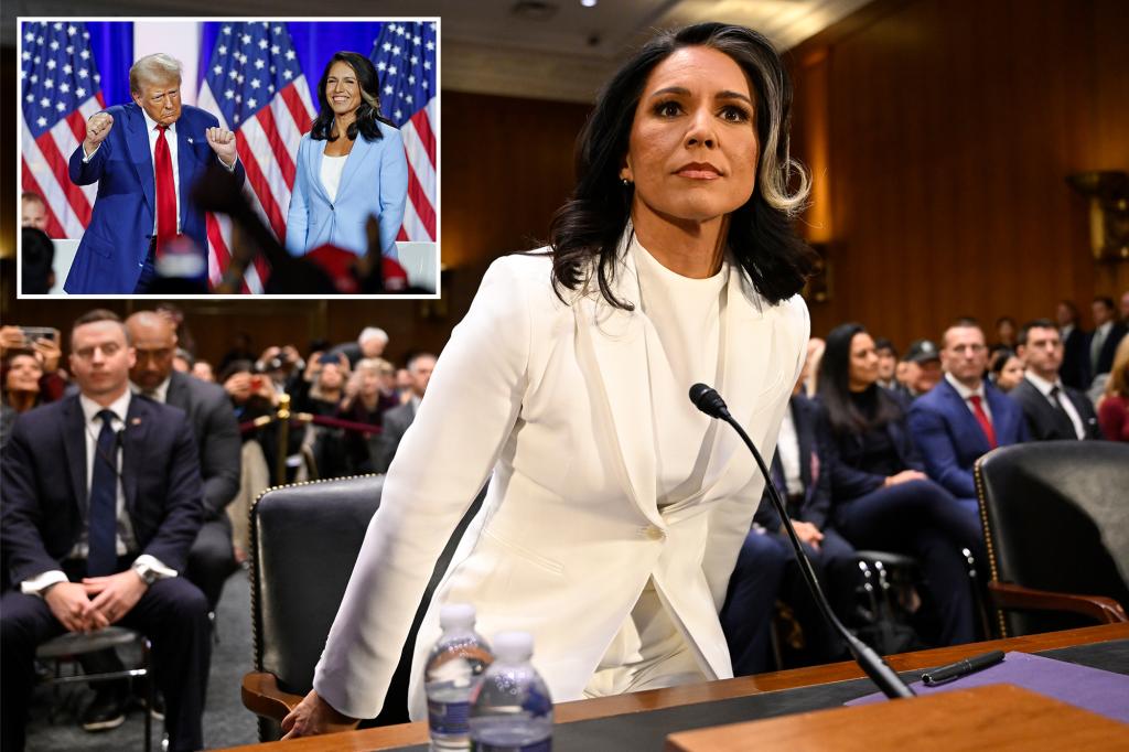 Senate confirms Tulsi Gabbard as director of national intelligence