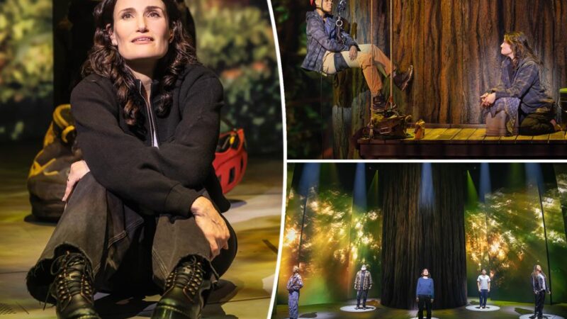 Idina Menzel Broadway musical is thin, sappy