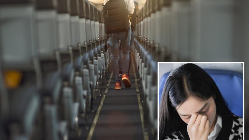 Flight passenger ignites debate after being told to ‘climb over’ seatmate for bathroom break