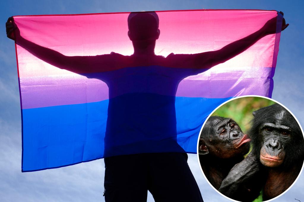 Bisexuality is a near-universal experience in primates — humans included: scientist