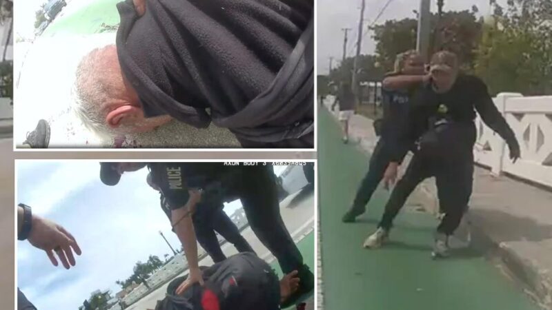 Bodycam footage shows moment Florida officers’ attempt to restrain suspect goes horribly wrong