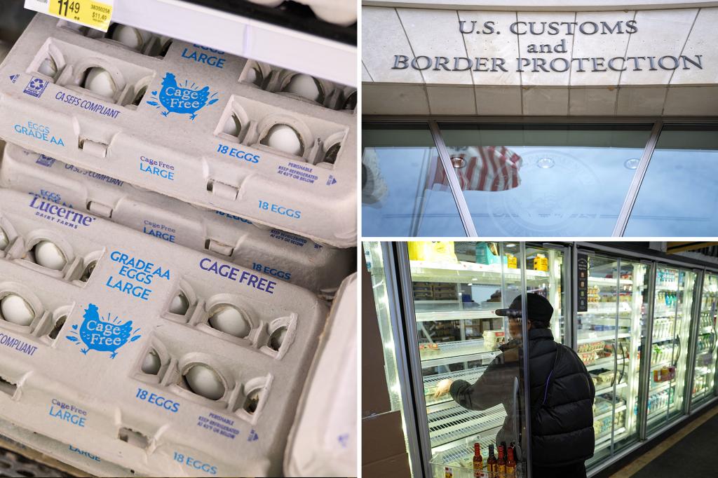 Border Patrol sees uptick in egg smuggling on southern border amid skyrocketing prices