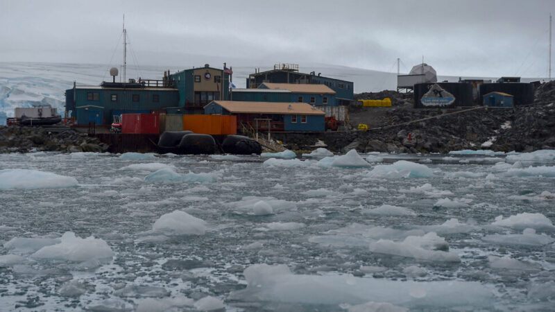 Buffalo Bills Fans Have It Tough, Especially in Antarctica