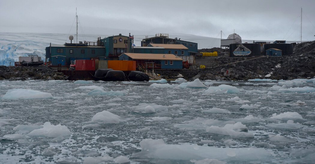 Buffalo Bills Fans Have It Tough, Especially in Antarctica