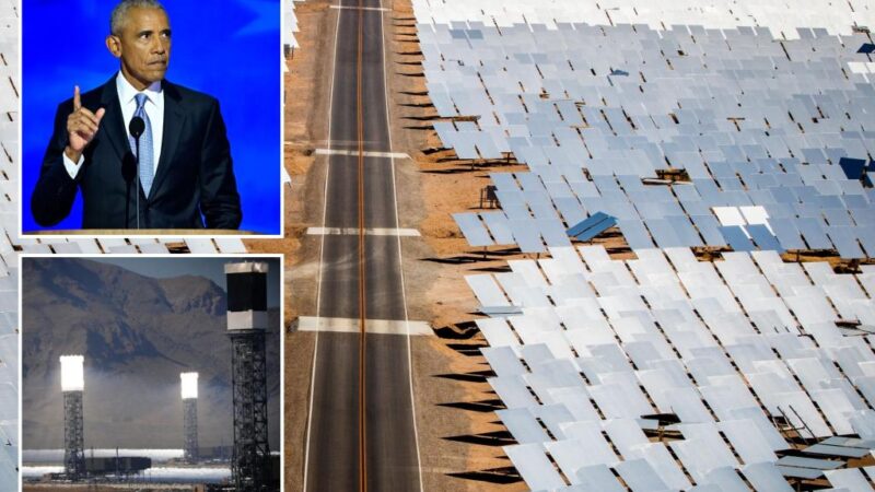 California Ivanpah Solar Power Facility created by Obama blasted as disaster