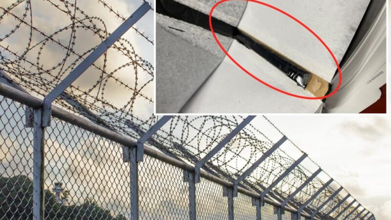 California woman with heroin-filled Bibles for prison inmates sentenced to 7 years