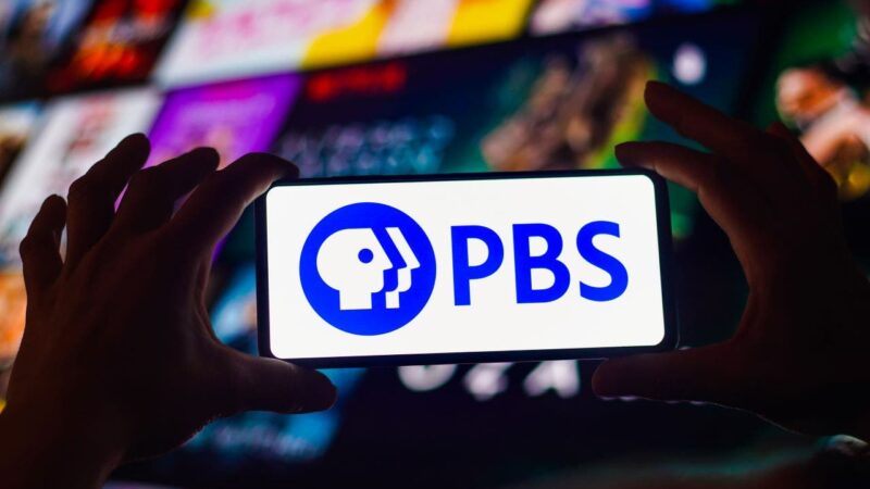 DAVID MARCUS: Public broadcasting’s purpose has passed. It’s time to pull the plug