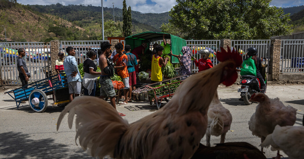 East Timor’s Challenges Two Decades After Independence